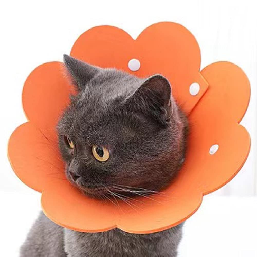Amazon | エリザベスカラー 猫 犬 COTOREAL ペット用品 傷口保護