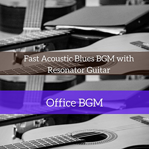 Best Resonator Acoustic Guitar Expert Review The Modern Record
