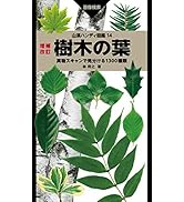 山溪ハンディ図鑑 14 増補改訂 樹木の葉 実物スキャンで見分ける1300