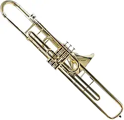 Trombone Profissional Sebastian STB-GP301G Bb (Sib)