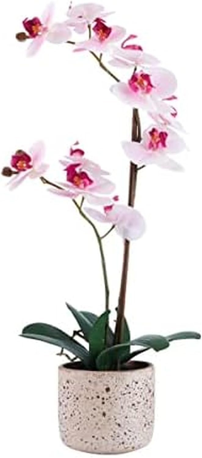 Mikasa Artificial Real Touch Phalaenopsis Orchid Flower in Pot, Faux Floral Décor for Wedding, Home, Office, Party, Hotel, Salon, 15-Inch, White Pink