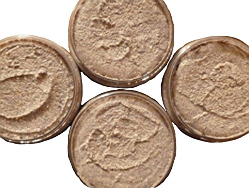 Even Tone Body Polish w/Salicylic Acid