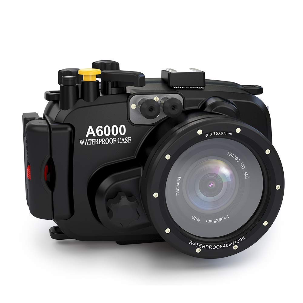 Amazon | Sea Frogs OLYMPUS TG-5用 水中カメラケース アンダー