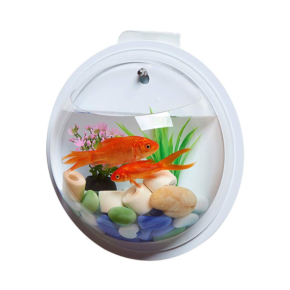 fish tank container