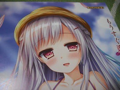Amazon Co Jp 妹を汚した記憶 楠木秋桜香 チラシ 紫刀 イラスト 桐野暁 Pcゲーム いもけが 非売品 Va はむはむソフト 10周年 ホビー 通販