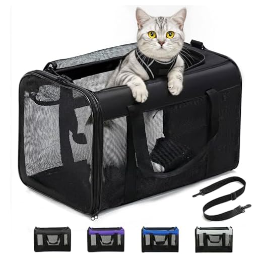 Conlun Flugfähige Katzentransportbox