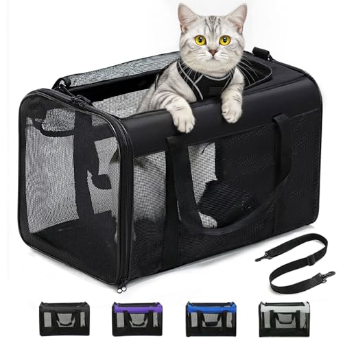 Conlun Trasportino Gatto Morbido con Rete su 4 Lati, Approvato per l'Uso in Aereo Trasportino per Gatti Ideale per Gattini Cuccioli di Piccola Media Fino a 6 Kg, Trasportino Cane Pieghevole-M, Nero