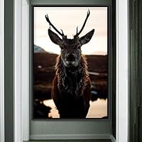 Framed Canvas Wall Art Deer Animals Deer Multicolor Photography Rustic Urban - 16x24 inches