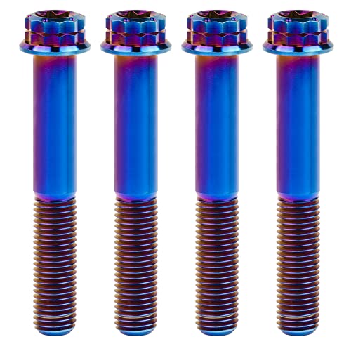 Titanium Flange M10 Bolt (M10x70mm Pitch 1.25mm, Burnt Blue)