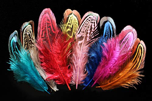 Tigofly 50 pcs/lot 5-10 cm Couleurs assorties Bite Lâche Plume Faisan Épaule Église Fenêtres Mouche Matériaux Cover