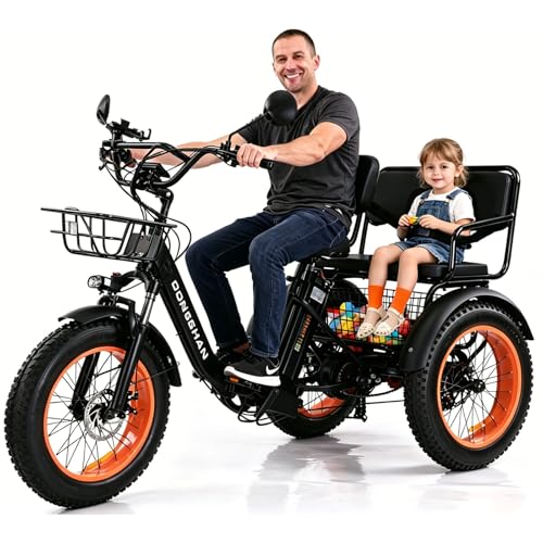 Electric Tricycle with Passenger Seat