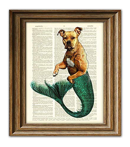 Max Merpibble the Mermaid Pit Bull Is Super Swole Dictionary Page Dog Pitbull Book Art Print