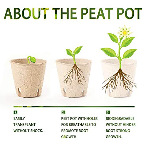 Vumdua 3\" Peat Pots with Plant Label, Biodegradable Seed Starter Kit for Vegetables, Herbs, Fruits, Flowers - 100 Pcs Planting Pots & 100 Pcs Plastic Plant Markers - Thumbnail 6