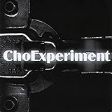 Choexperiment