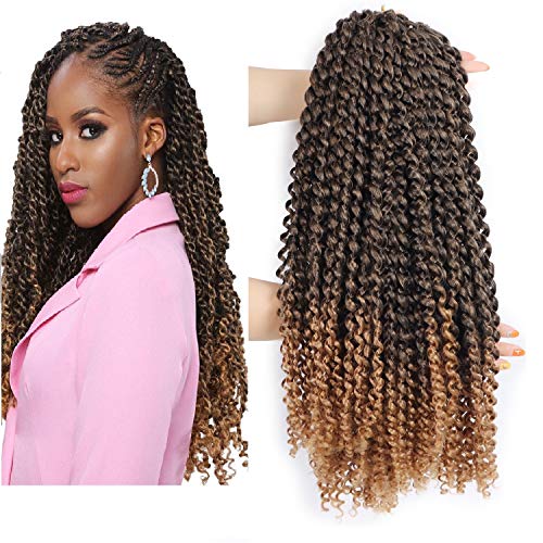 T1B/27 Ombre Color 18inch Passion Twist Crochet Braiding Hair 100% Kanelalon Synthetic Pre-Twisted Passion Twist Crochet Braiding Hair Extensions For Black Women 6 Packages (1b/27)