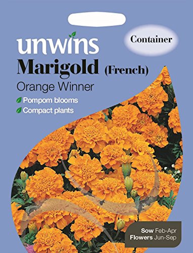 Unwins Pictorial Packet - Marigold French Orange Winner - 105 Seeds