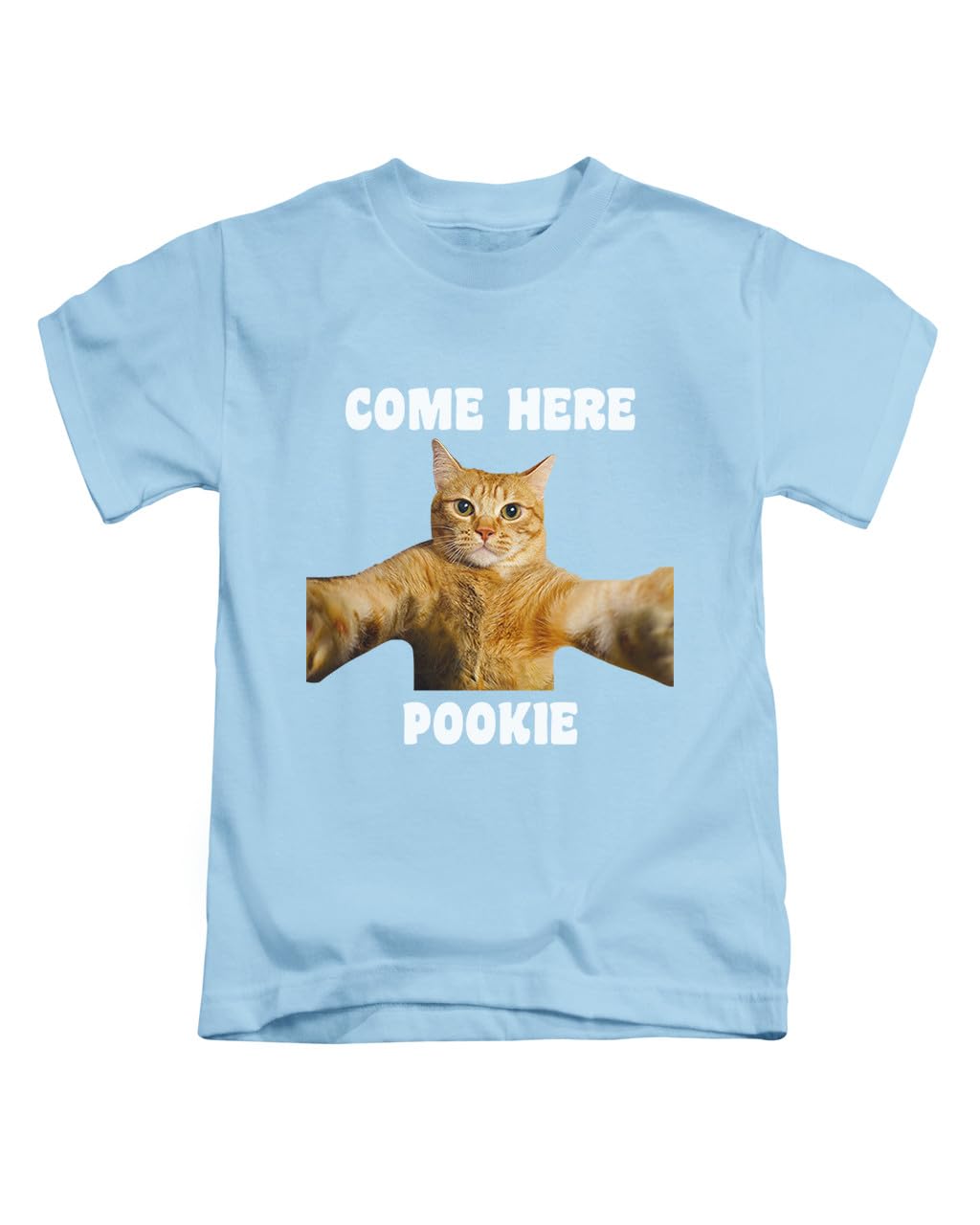 Taylor Brown Unisex Sky Blue Come Here Pookie, Cat Cats Memes Kitten, Relationship Jokes Tee T-Shirt Funny T Shirt Top