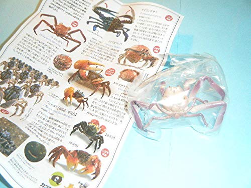 カニ 動くおもちゃ 這うカニのおもちゃ ダンシングカニ ウォーキング