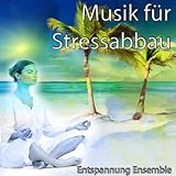 Paradise Music Ltd