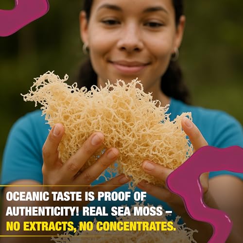 Biolore Sea Moss Gel – Elderberry, Made in USA, No Added Sugar, Rich in Vitamins & Minerals, Vegan Superfood, Seamoss Jam & Spread Gift (8 oz)