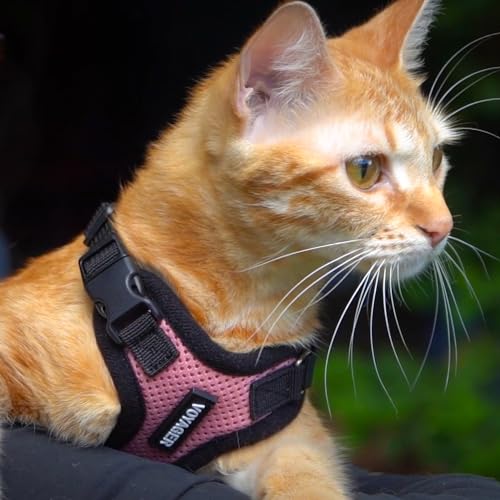 Image of Voyager Escape-Proof Step-in Lock Cat Harness & 5ft Neoprene-Handle Leash Set All-Weather Mesh with Reflective Stitching for Small to Large Cats by Best Pet Supplies, Pink /Black Trim, S