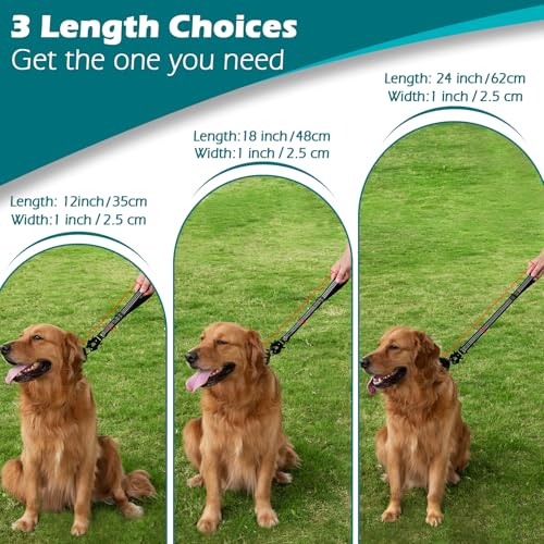 PetBonus Robuste Kurze Hundeleine 30cm, Nylon Kurzführer mit Schnellverschluss, gepolstertem Griff, Reflektierende Trainingsleine für große mittlere Hunde (Schwarz)