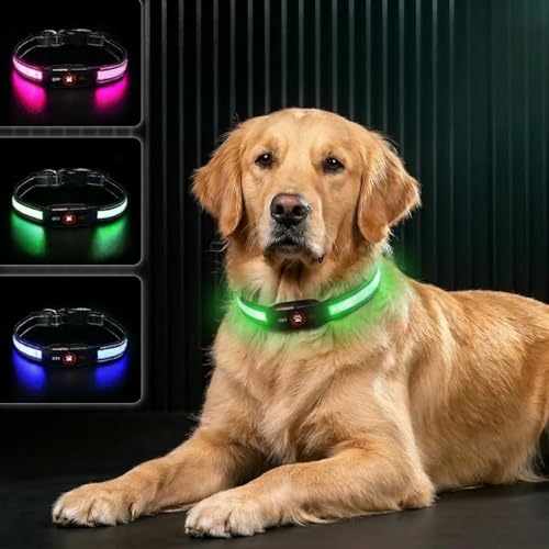 Bamda Light Up Dog Collar 2026 Long-Lasting Power LED Dog Collar Lights for Night Walking Rechargeable & Adjustable Waterproof & Safety Glowing Collars for Small Medium and Large Dogs [Green-L]