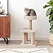Amazon Basics Cat Tree - Indoor Cat & Kittens Multi-Level Climbing Activity Tower with Scratching Posts, Medium (31.5