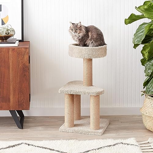 Image of Amazon Basics Cat Tree - Multi-Level Climbing Activity Tower with Jute Rope Scratching Posts for Indoor Cats & Kittens, Medium (31.5 inchH), Beige