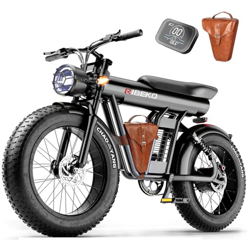 Electric Bike 1200W 48V/20Ah Fat Tire E Bike for Adults