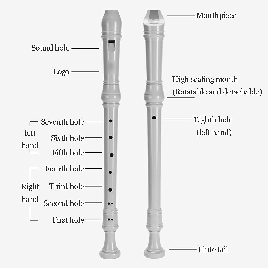 Flûte à Bec Alto En Bois D'Érable - 8 Trous Baroque Allemand - Ton F - Pour Débutants Et Adultes