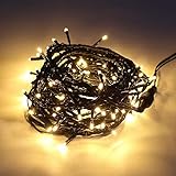 クリスマス イルミネーション コンセント式 【ストレート100球 シャンパンゴールド】LED クリスマスツリー 電飾 led 防水加工 防雨型 AC電源 おしゃれ 北欧 (シャンパンゴールド, ストレート100球)