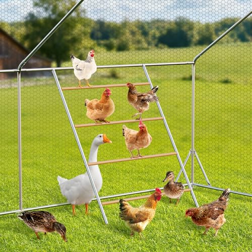 Perchoir de poulet Assark en bois robuste avec base stable - 2