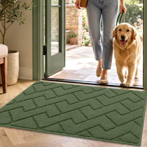 Image of hicorfe Indoor Door Mat,20 inchx32 inch Non Slip Door Mat Indoor Entrance,TPR Backing Dirt Trapper Entryway Mat,Washable Floor Mats,Low-Profile Welcome Mat for Hallway,Entrance,Front Back Door(Green)