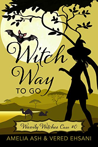 Witch Way To Go: A Cozy Mystery (English Edition) Witch Way To Go: A Cozy Mystery (English Edition)