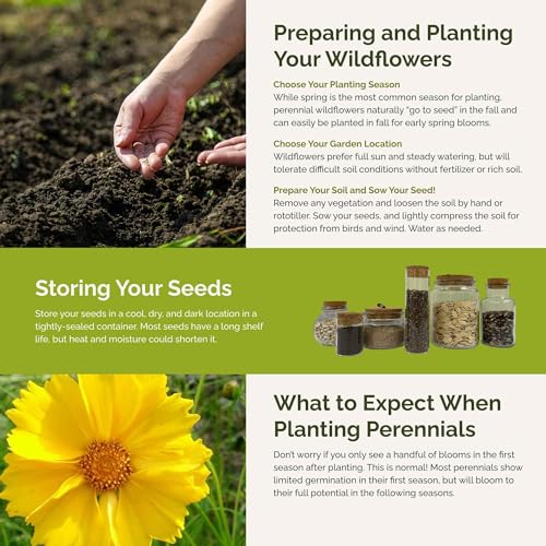 image for Eden Brothers Rock Garden Perennial Wildflower Mixed Seeds for Plantin