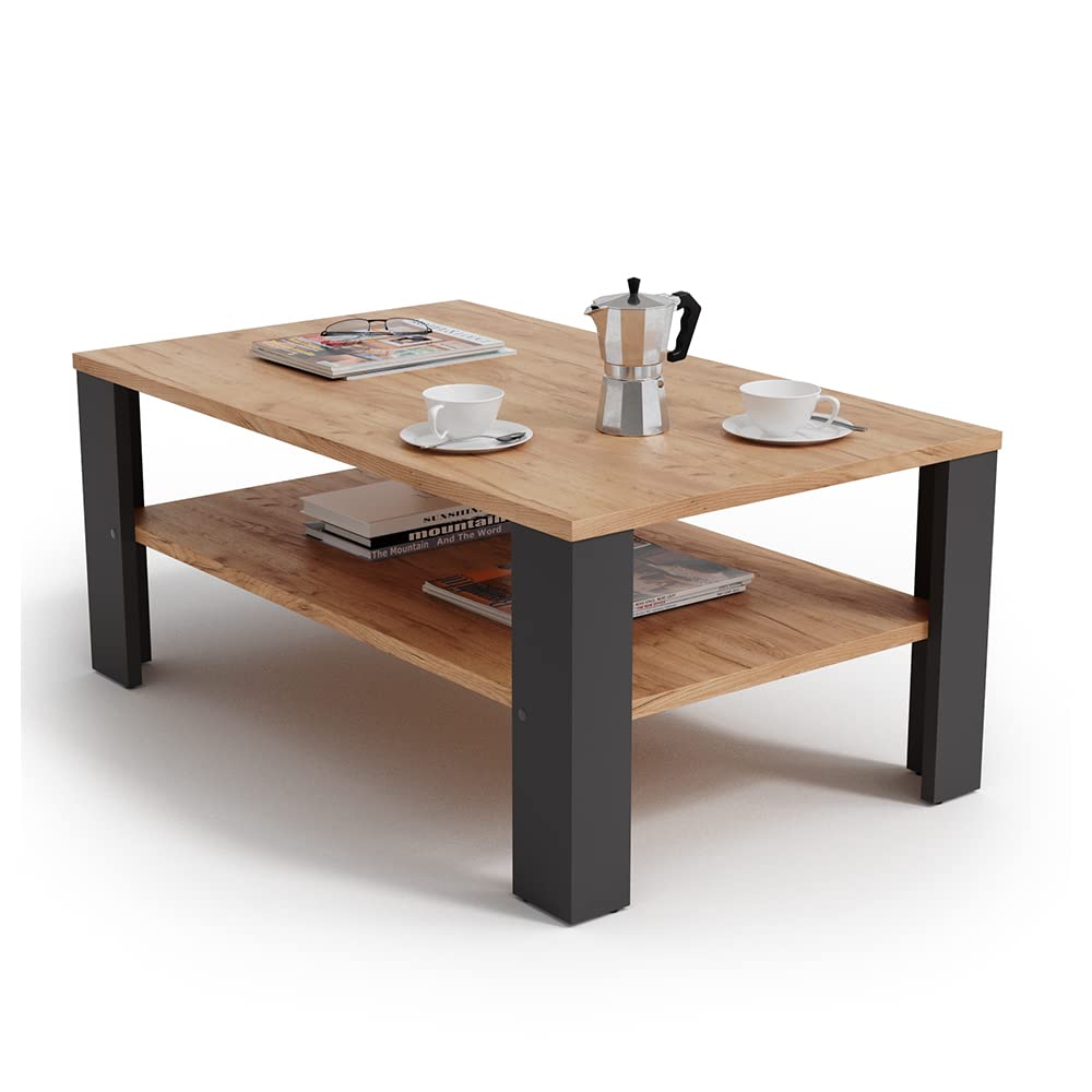 Vicco Couchtisch, Anthrazit, 100 x 60 cm | mit offenem Ablagefach zur Aufbewahrung von Zeitschriften