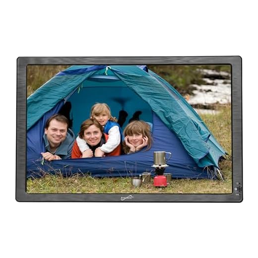 SuperSonic SC-2812 Portable Widescreen LCD Display with Digital TV Tuner, USB/SD Inputs and AC/DC Compatible for RVs (12-inch)