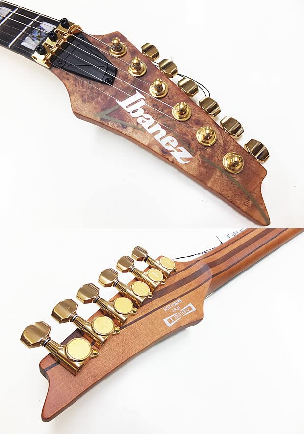 Amazon | Ibanez アイバニーズ RGT1220PB ABS Antique Brown Stained 