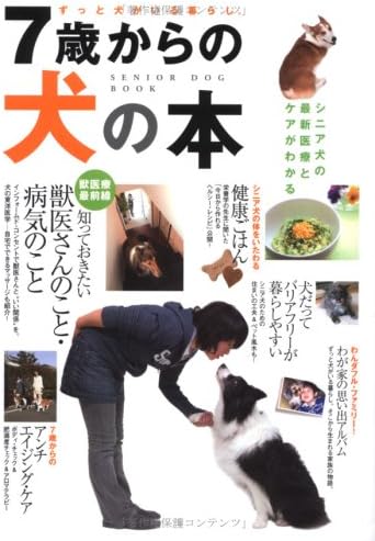 愛犬をドッグカフェに慣らすための実践ステップ