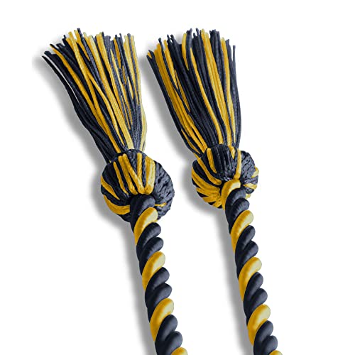 Image of Endea Graduation Single Honor Cord Two-Color (Navy Blue /Gold)