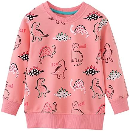 Ysoea Toddler Girl Graphic Sweatshirt Kids Crewneck Rainbow Grape Print Hoodie Fall Birds Flowers Applique Pullover Knit Tops