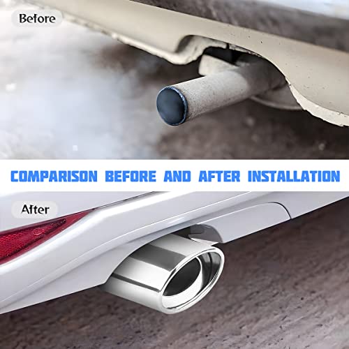 8Sanlione 8SANLIONE-STRIP Car Exhaust Tail Pipe thumb #3