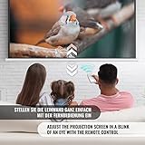 Jago® Motorleinwand - Mit Fernbedienung, 1:1, 4:3, 16:9, HDTV, 8K, 4K, Höhenverstellbar, Großenwahl - Elektrische Leinwand, Projektionsleinwand, Kinoleinwand, Rolloleinwand, Beamerleinwand mit Motor - 9
