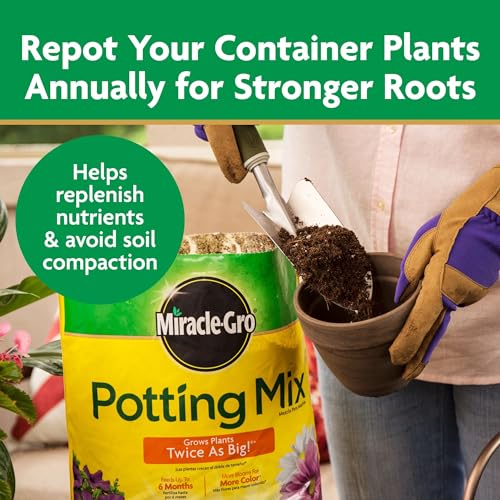 Miracle-Gro VB00008 2-Pack Potting Mix, 8 Qt thumb #7