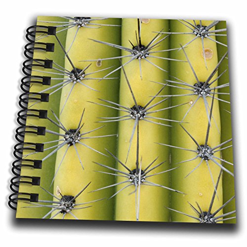 Mini bloc-notes Arizona Saguaro Cactus multicolore carnet de notes de poche