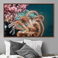 Framed Canvas Wall Art Deep Under Group Jellyfish Marine Life Multicolor Photography Realism Tropical Ultra Whimsical - 16x24 inches