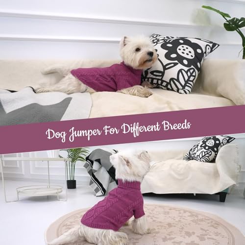 Queenmore Dackel Pullover Hundepullover Mittelgroße Hunde Wärme Hundepulli Strick Pullover Hund Strickmantel Mit Zopfmuster Hundepullover Französische Bulldogge Bulldog, Pflaume, M