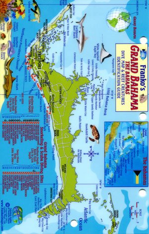 Grand Bahama Island the Bahamas Mini-map & Reef Creatures Identification Guide - Fish ID