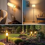 Tomosu 6 Pack R7s Halogen Bulb 118mm 230W Dimmable 230V 4650lm 2800k Warm White Energy Saving Tungsten Linear Bulbs Floodlight J118 Security Light Bulb - Image 7